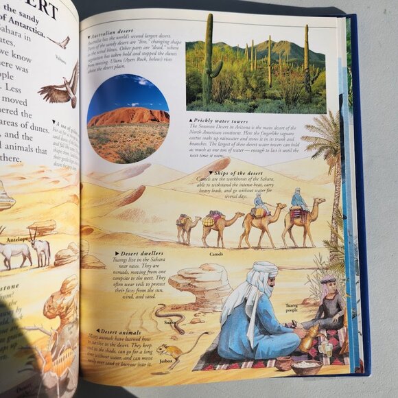 Nature Earth Facts Trivia Hardcover Book Usborne Highest, Longest, Deepest - Picture 5 of 12